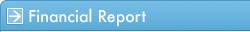 Financial Report