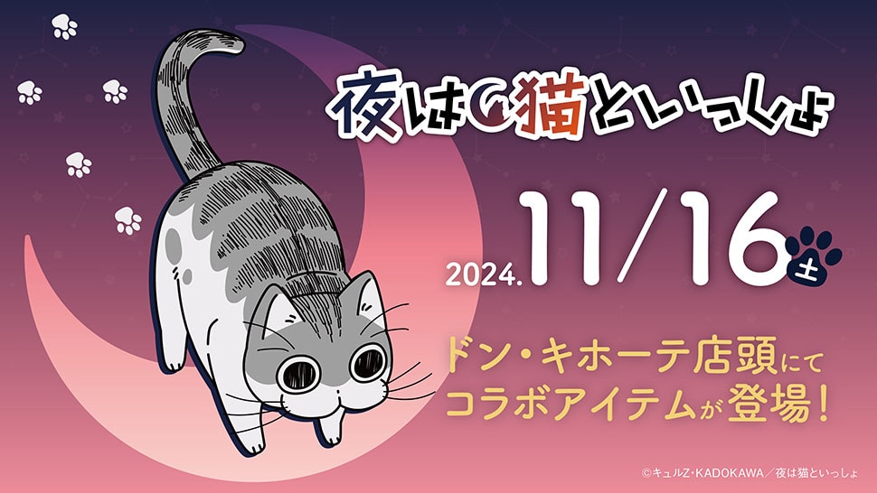 夜は猫といっしょ