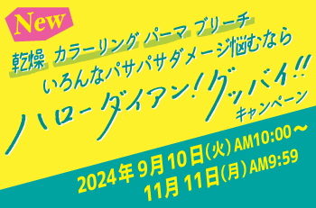 New　乾燥　カラーリング　パーマ　ブリーチ　いろんなパサパサダメージ悩むならハローダイアン！グッバイ！！キャンペーン